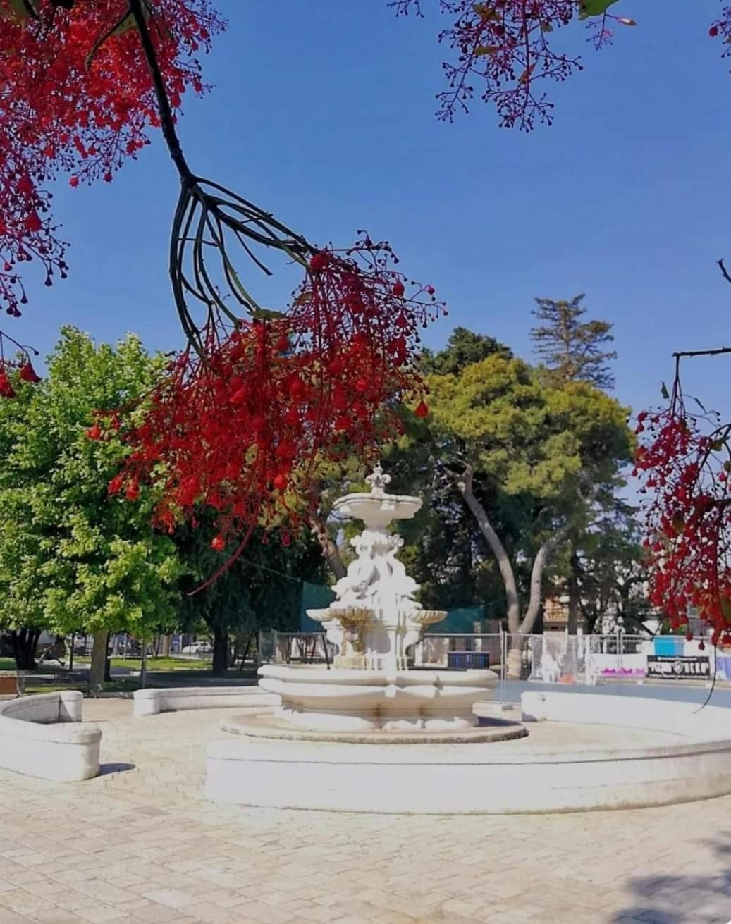 San Lorenzo Mesagne
